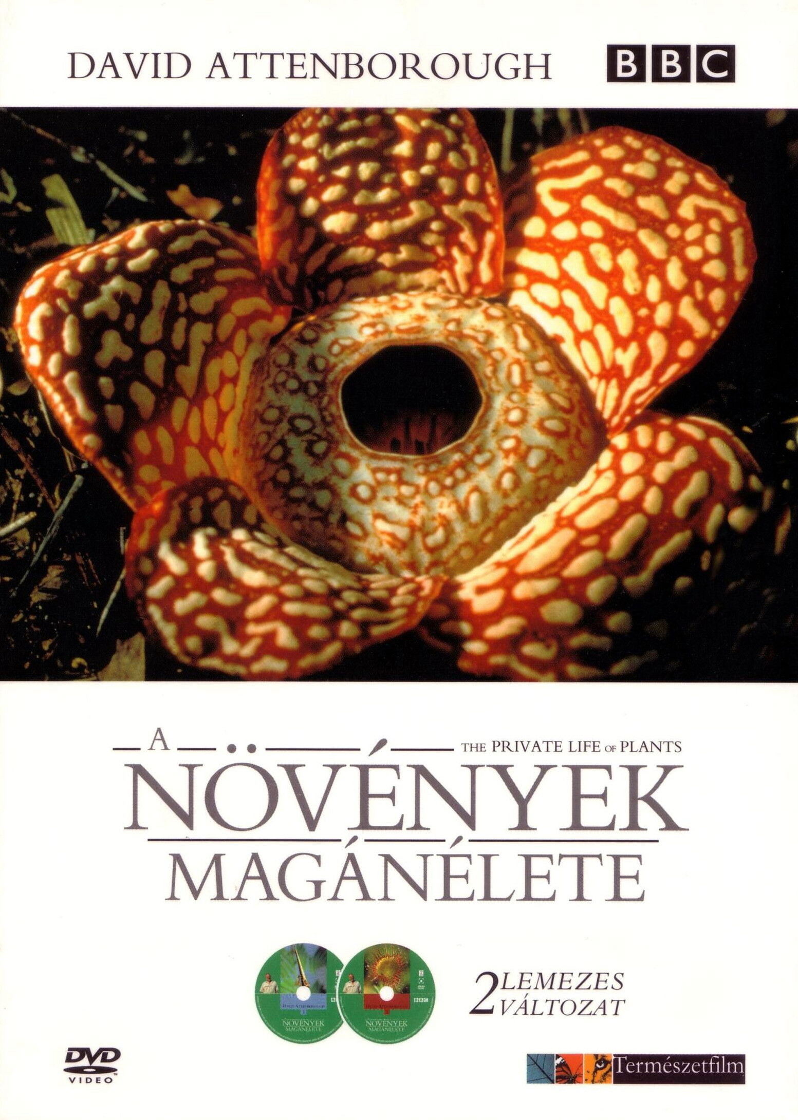 The Private Life of Plants