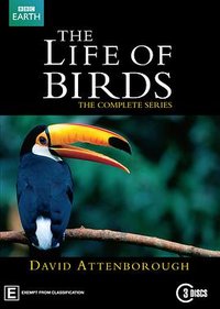 The Life of Birds