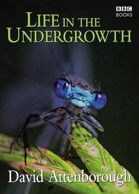 Life in the Undergrowth