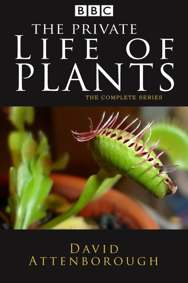 The Private Life of Plants (Specials)